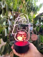 Plexiglass me ekon e bebit