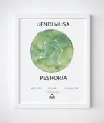 Korniza me shenjen e horoskopit(zodiac) - Figura 6