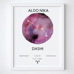 Korniza me shenjen e horoskopit(zodiac)