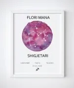 Korniza me shenjen e horoskopit(zodiac) - Figura 9